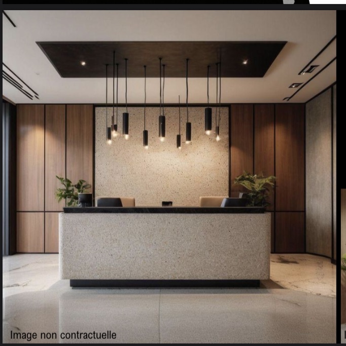 Intérieur Sankaran Platinum Plus